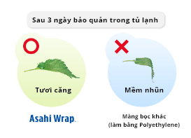 Màng bọc giúp giữ độ ẩm trong thực phẩm như cá, rau; giúp thực phẩm tươi lâu vượt trội