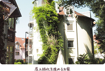 屋上緑化を進めるお家