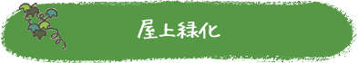 屋上緑化