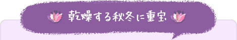 乾燥する秋冬に重宝