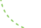 緑のライン