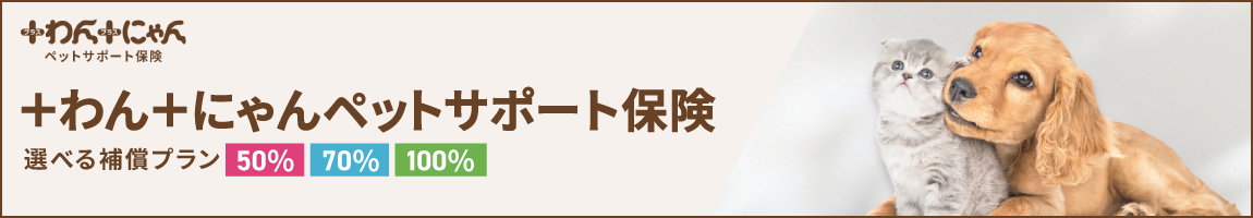 プラスわんプラスにゃんあんしんペット保険